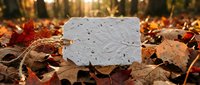 Blank white card mockup surrounded by autumn leaves and forest floor debris for seasonal marketing and design projects.