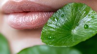 Sensual close up of natural pink lips with fresh green leaf and water drops, representing beauty, wellness and organic skincare concept for cosmetic advertising.