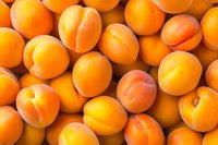 Fresh ripe apricots background with natural sunlight, full frame close up view of organic summer fruits showing vibrant orange color and texture.
