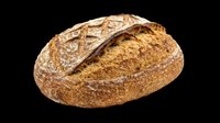 Artisan sourdough loaf with scored crust, isolated on transparent background. Ready for bakery designs, food packaging, menus, t-shirts, stickers, and print-on-demand products.
