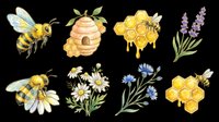 Honey bee, beehive, honeycomb, and lavender flower illustrations isolated on transparent background, ready for t-shirt design, clipart, stickers, sublimation, and print-on-demand products.
