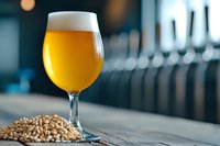 Craft beer glass with unfiltered wheat ale and pile of raw barley grains on rustic wooden bar counter in pub setting with blurred tap wall background.