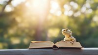 Small frog sitting on open book pages against blurred natural background with sunlight, creating magical reading atmosphere in garden setting.
