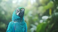 Vibrant turquoise blue macaw parrot portrait against blurred tropical foliage background, showcasing detailed feathers and distinctive curved beak in natural setting.