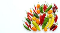Isolated colorful hot chili peppers in various red, yellow, green and orange varieties arranged on white background for culinary and cooking design projects.