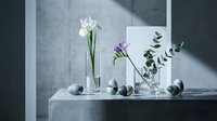 Minimalist still life with white iris and purple flowers in glass vases on concrete surface with dramatic shadows and eucalyptus branches for modern decor.