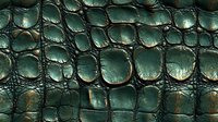 Detailed macro shot of emerald green crocodile leather texture showing natural scales pattern with glossy surface and intricate relief structure. Luxury fashion background.