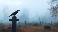 Black raven perched on stone cross in misty cemetery at dawn, creating eerie atmosphere with foggy background and silhouettes of gravestones.