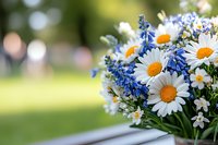 Fresh summer bouquet with white daisies and blue delphinium flowers on wooden surface against blurred garden background, natural floral arrangement.
