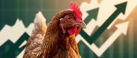 Chicken with upward trending arrow graph in background symbolizing growth, success, and rising profits in agriculture or business markets.