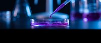 Laboratory pipette dropping sample into petri dish with purple liquid under blue neon lighting for scientific research and biotechnology experiments.