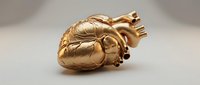 Golden anatomical heart sculpture with detailed arteries and veins on neutral background for medical education and artistic design projects.