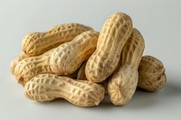 Pile of raw peanuts in shells on light gray background, showcasing natural texture and color of unprocessed legumes for food photography.