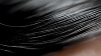 Close-up macro shot of smooth black hair strands with natural shine and texture, perfect for beauty and haircare concepts in advertising and design.