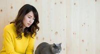 Young woman with long dark hair and East Asian ethnicity wearing bright yellow sweater, petting gray cat indoors. Wooden wall background with knots. Domestic pet companionship scene.