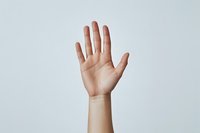 Raised open palm of a light-skinned person against white background showing greeting, voting, or stop gesture. Clean minimalist composition for business concepts.