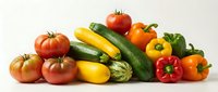Fresh organic vegetables including tomatoes, zucchini, yellow squash and colorful bell peppers arranged on white background for healthy cooking and nutrition.