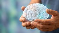 Hands holding transparent brain model representing mental health, neuroscience research, psychology concepts, medical education, cognitive science and healthcare innovation.