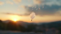 Delicate dandelion seed floating in golden sunset light over mountain landscape, symbolizing freedom, hope, and new beginnings.