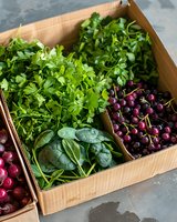 Fresh organic produce box with vibrant parsley, baby spinach leaves and ripe cherries arranged in wooden crate, highlighting seasonal farm-to-table ingredients.