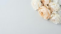Soft cream peonies arranged on neutral background creating elegant floral composition for wedding invitations and romantic design projects.
