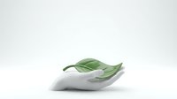 Fresh green leaves resting in cupped hands against clean white background symbolizing natural care, environmental protection and organic wellness concepts.