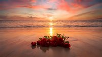 Red roses bouquet on sandy beach at golden sunset with ocean waves and dramatic colorful sky creating romantic atmosphere for wedding or Valentine's Day.