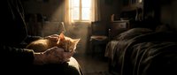Ginger cat stretches in warm sunlight streaming through window in rustic bedroom with wooden furniture and dark interior. Domestic pet relaxation scene.