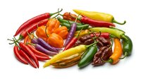 Colorful assortment of fresh hot chili peppers in various shapes and sizes isolated on white background for culinary and cooking projects.