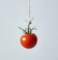 Fresh ripe tomato hanging on white string against light background, minimalist food composition with natural stem and leaves attached.