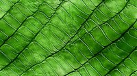 Extreme close-up of fresh green leaf texture showing intricate vein patterns and cellular structure. Natural organic background with diagonal lines and rich emerald tones.