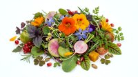 Fresh mixed salad with edible flowers, microgreens and colorful vegetables on white background. Healthy organic food concept for restaurant menu design.