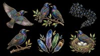 Starling birds clipart set with flying bird, pair on branch, feathers, nest with eggs, isolated on transparent background, for t-shirts, stickers, print on demand.