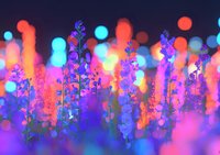 Dreamy wildflowers silhouettes against vibrant bokeh background in neon pink, purple and blue colors create magical garden atmosphere at dusk.