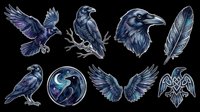 Dark blue bird illustrations including flying crow, perched raven, head profile, feather, and wing pairs isolated on transparent background, ready for t-shirt design, clipart, stickers, and print-on-demand projects.