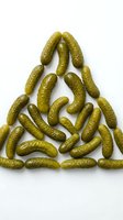 Isolated pickles arranged in triangle formation on white background, ready for food packaging, recipe blogs, grocery advertising, and culinary design projects.