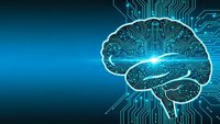 Digital brain with circuit board patterns on blue gradient background representing artificial intelligence and neural network technology.