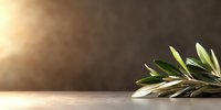 Fresh olive branch with green leaves lying on gray surface against dark background with warm sunlight, creating minimalist composition for spa and wellness.