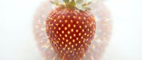 Ripe red strawberry with green leafy crown isolated on white background, suitable for food packaging, culinary designs, and healthy eating campaigns.
