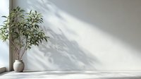 Green houseplant in ceramic pot against minimalist white wall with soft shadow play, creating serene interior space for home decor.