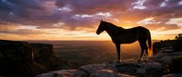 Majestic horse silhouette standing on rocky cliff edge against dramatic sunset sky with orange and purple clouds over vast landscape horizon.