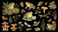 Frogs, toads, mushrooms, ferns, and woodland plants isolated on transparent background. Ready for clipart, t-shirt design, stickers, print-on-demand, and sublimation projects.
