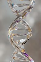 Crystal clear DNA helix structure with rainbow light reflections, representing genetic science and biotechnology research.