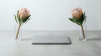 Minimalist workspace with pink protea flowers in glass vases and closed laptop on clean white desk for modern office design and productivity concepts.