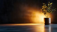 Small green plant in modern black pot against dark background with dramatic golden sunlight creating atmospheric mood and reflection on wooden surface.