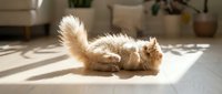Fluffy ginger cat lying on light tile floor in sunny room, stretching playfully with tail up, domestic pet relaxation and comfort.