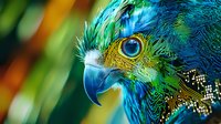 Vibrant close-up portrait of blue and gold macaw parrot head showing intricate feather patterns, distinctive eye, and curved beak against blurred natural background.