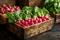Fresh organic radishes with green leaves in rustic wooden crate at farmers market. Healthy root vegetables harvest display for cooking and nutrition concepts.
