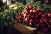 Fresh red radishes with green leaves in wooden crate at farmers market. Organic root vegetables harvest display for healthy eating and cooking ingredients.