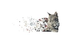 Tabby cat portrait with floral elements and scattered petals creating artistic dispersion effect on white background for creative design projects.